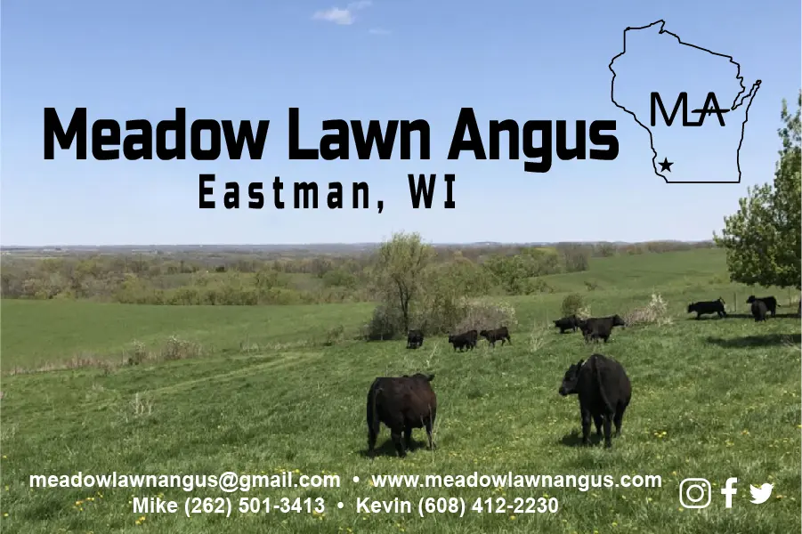 https://countylinecountryfest.com/wp-content/uploads/2021/11/meadow-lawn-angus-02.jpg